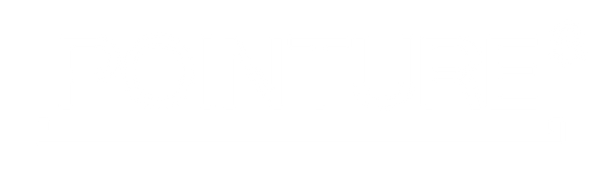 Pointures